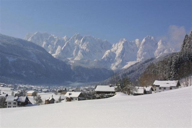 Appartements Pension Elfi Gosau Exterior foto